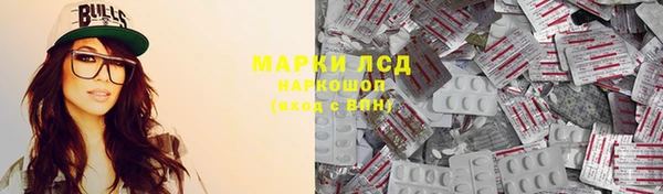 индика Богородицк