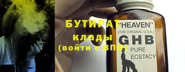 индика Богородицк