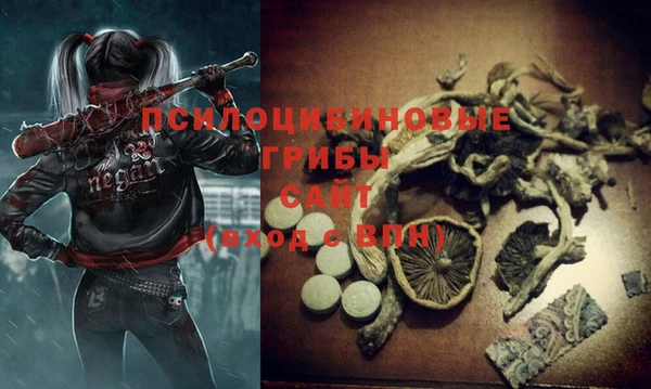 ALPHA PVP Богданович