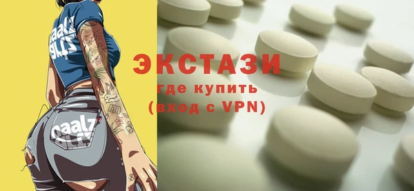 индика Богородицк