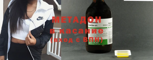 индика Богородицк