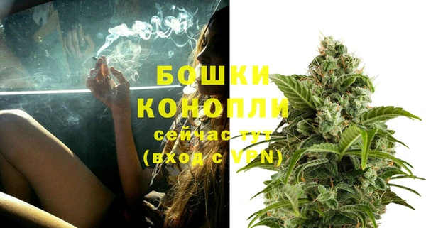 индика Богородицк