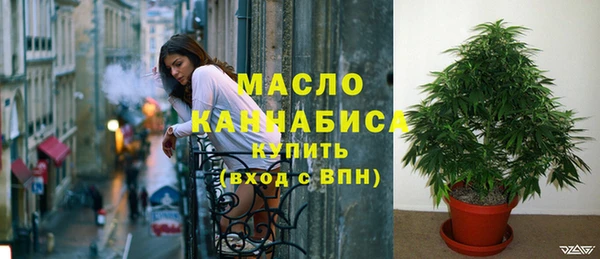 индика Богородицк