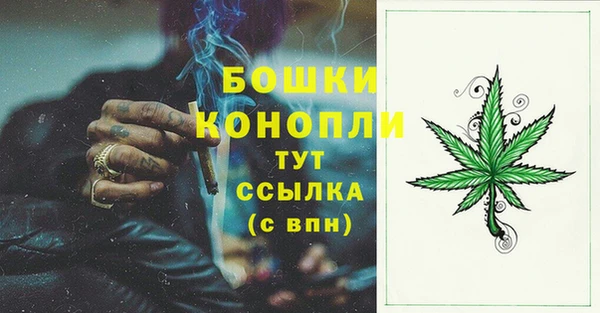 индика Богородицк