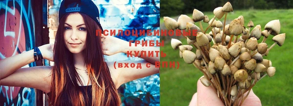 индика Богородицк