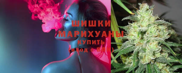 стаф Семёнов