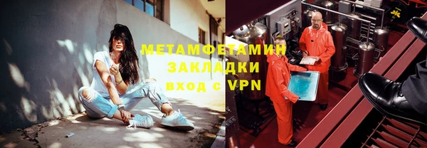 индика Богородицк