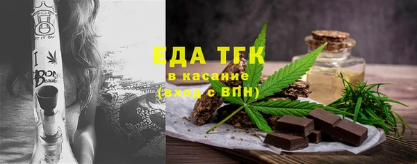 индика Богородицк
